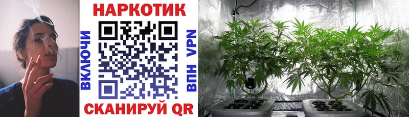 Сколько стоит Абакан Марихуана  СОЛЬ  мега маркетплейс  Кокаин  ГАШ  Амфетамин  ЭКСТАЗИ 