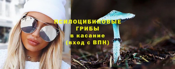твердый Абинск