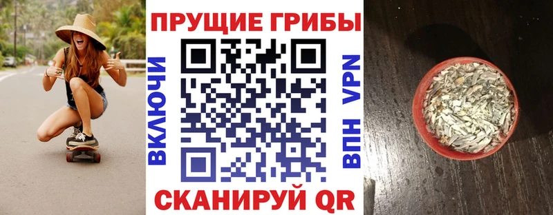 дарнет шоп  Абакан  shop наркотические препараты  Галлюциногенные грибы Magic Shrooms 